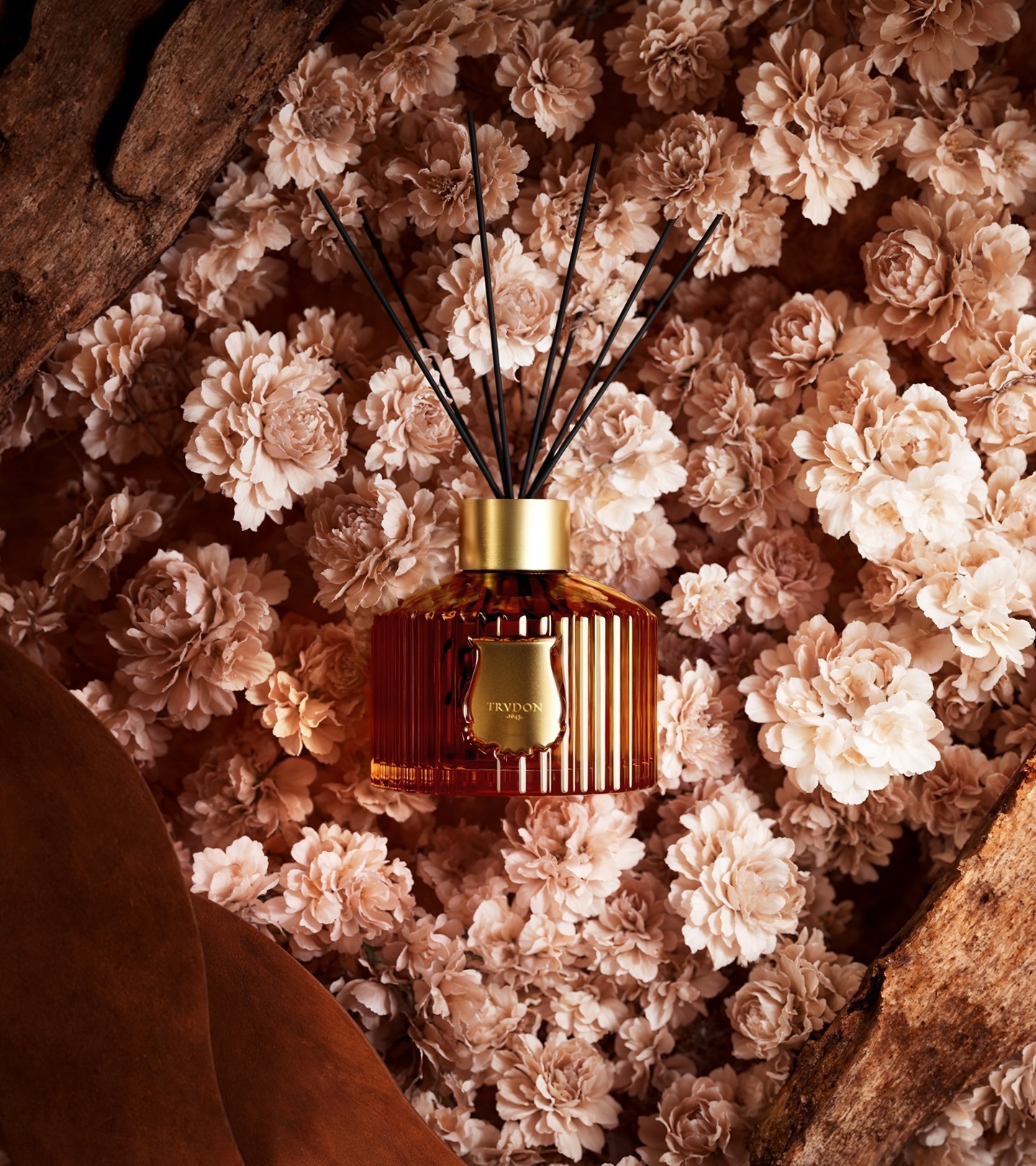 Trudon x Cher Ami - Image fixe 21