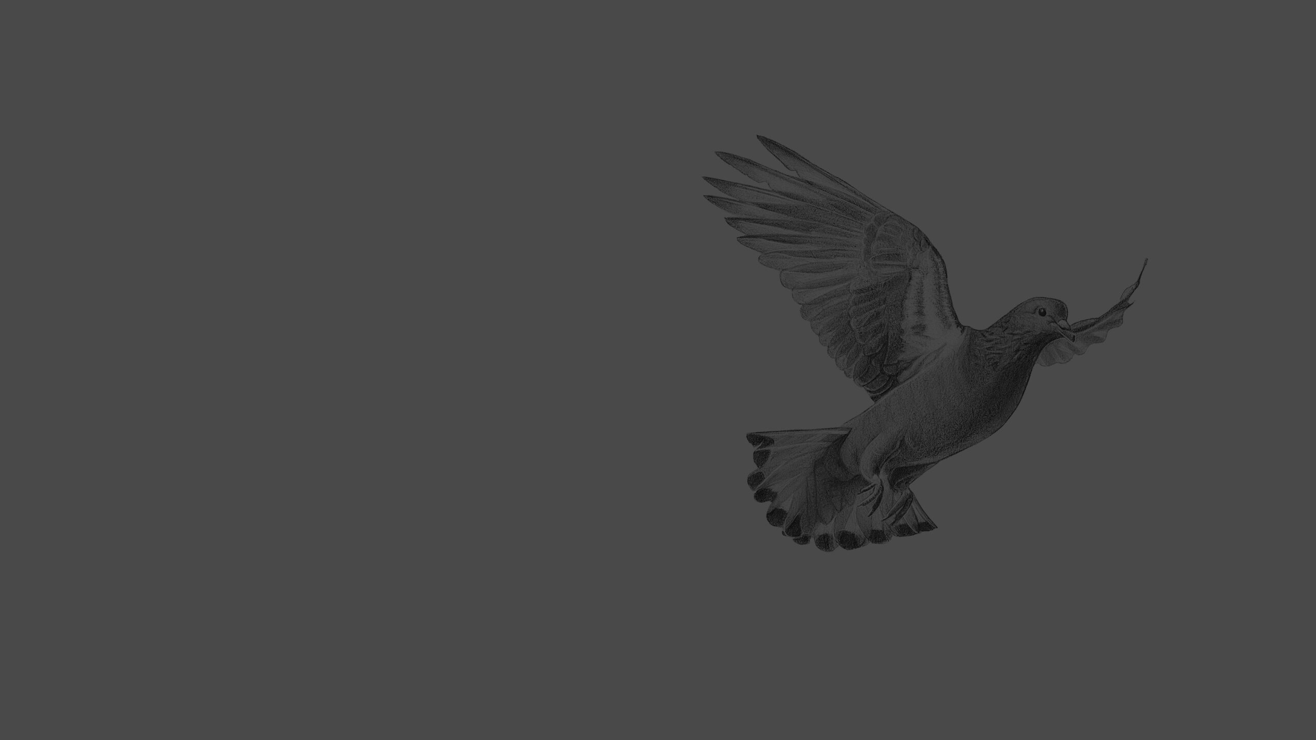 Illustration Pigeon Cher Ami